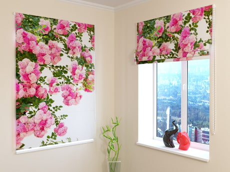 acquistare  — Foto