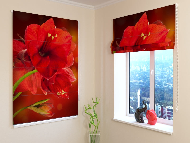 Tende a Pacchetto Ibisco Rosso acquistare Tende a Pacchetto Ibisco Rosso — Foto