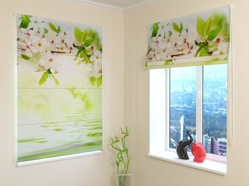 Tende a Pacchetto Fioritura Primaverile acquistare Tende a Pacchetto Fioritura Primaverile — Foto