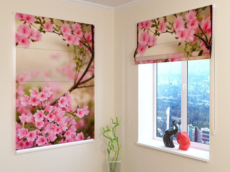 Tende a Pacchetto Primavera acquistare Tende a Pacchetto Primavera — Foto