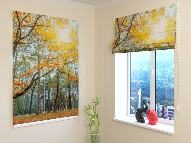 Tende a Pacchetto Sole nella Foresta acquistare Tende a Pacchetto Sole nella Foresta — Foto