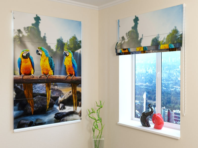 Tende a Pacchetto Tre Pappagalli acquistare Tende a Pacchetto Tre Pappagalli — Foto