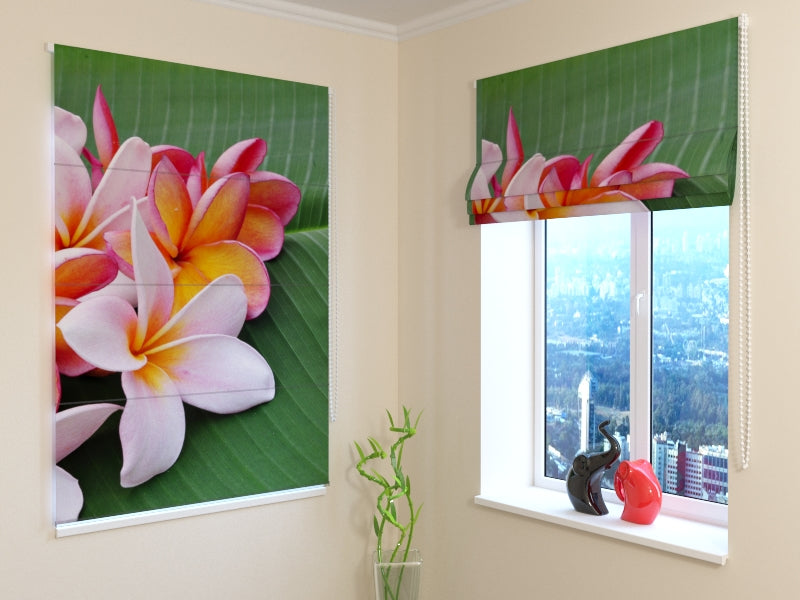 Tende a Pacchetto Fiori Tropicali acquistare Tende a Pacchetto Fiori Tropicali — Foto