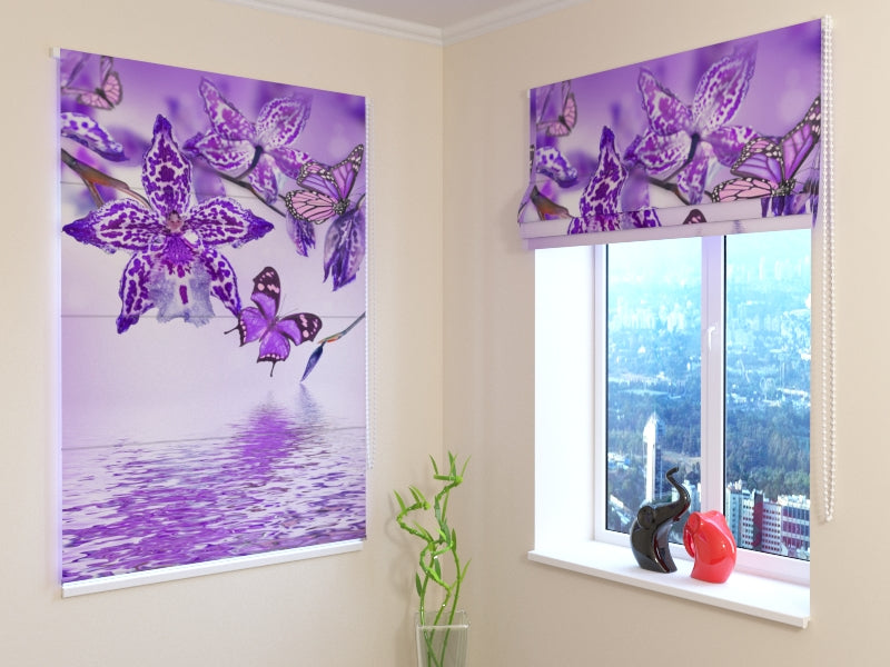 Tende a Pacchetto Orchidea Viola acquistare Tende a Pacchetto Orchidea Viola — Foto