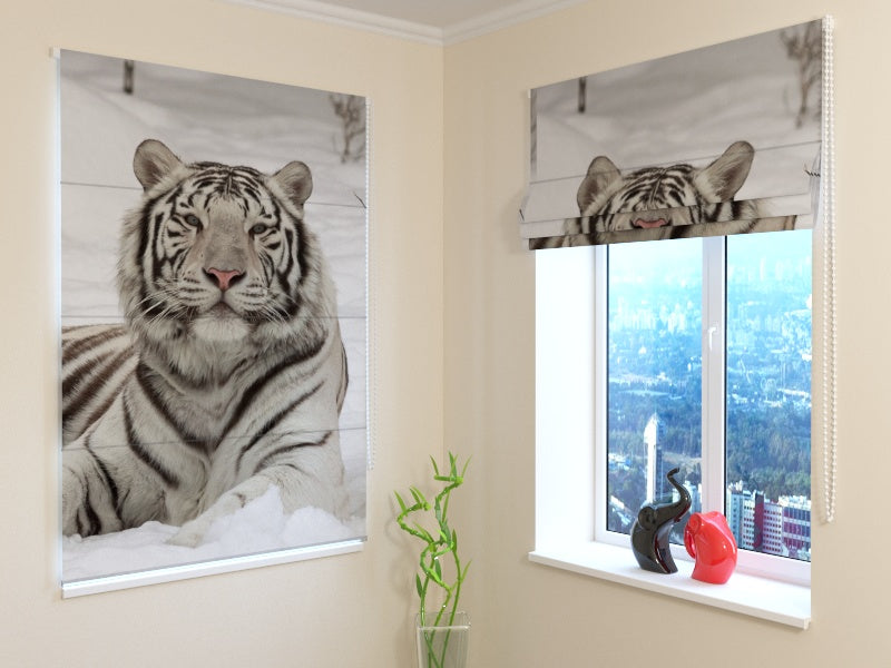 Tende a Pacchetto Bellezza Bianca acquistare Tende a Pacchetto Bellezza Bianca — Foto