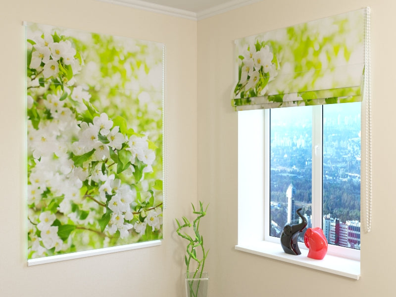 Tende a Pacchetto Albero Primaverile in Fiore Bianco acquistare Tende a Pacchetto Albero Primaverile in Fiore Bianco — Foto