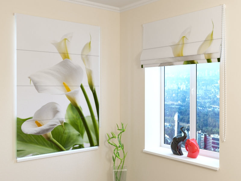 Tende a Pacchetto Gigli di Calla Bianchi acquistare Tende a Pacchetto Gigli di Calla Bianchi — Foto