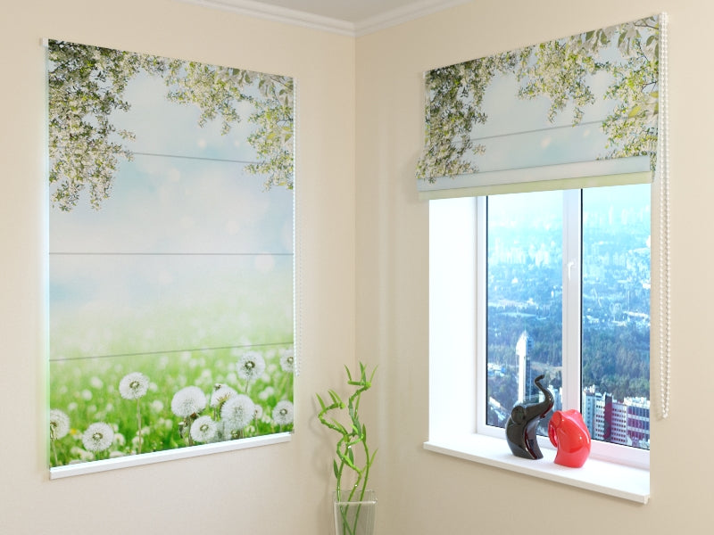 Tende a Pacchetto Denti di Leone Bianchi acquistare Tende a Pacchetto Denti di Leone Bianchi — Foto