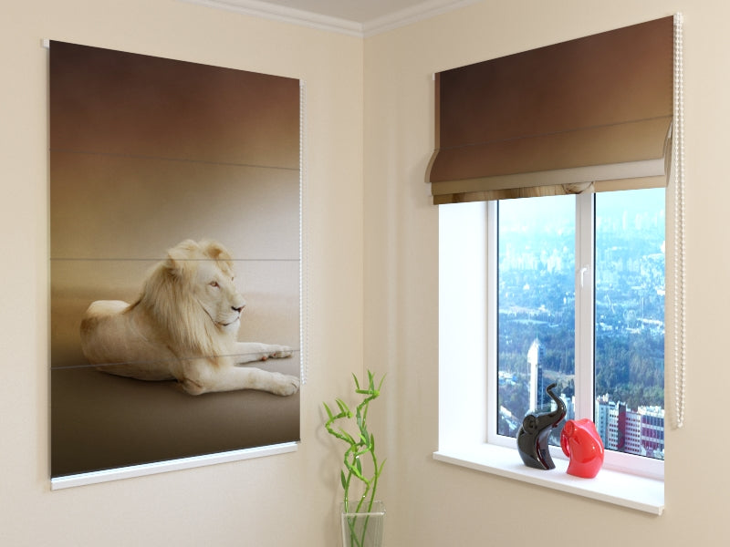 Tende a Pacchetto Leoni Bianchi acquistare Tende a Pacchetto Leoni Bianchi — Foto