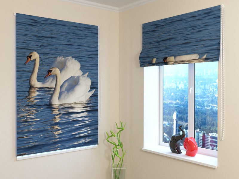 Tende a Pacchetto Cigni Bianchi acquistare Tende a Pacchetto Cigni Bianchi — Foto