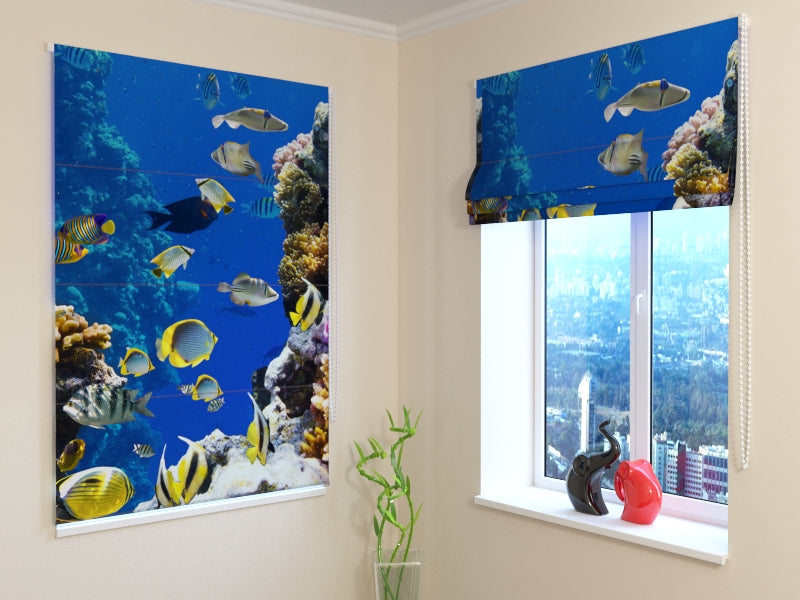 Tende a Pacchetto Pesce Giallo acquistare Tende a Pacchetto Pesce Giallo — Foto