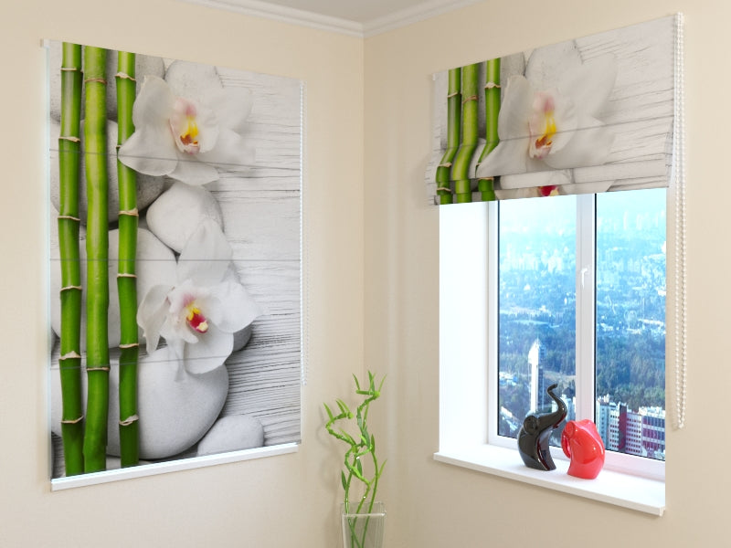 Tende a Pacchetto Magnifica Composizione acquistare Tende a Pacchetto Magnifica Composizione — Foto