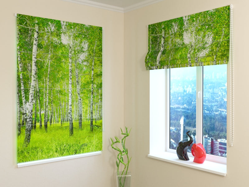 Tende a Pacchetto Foresta di Betulle acquistare Tende a Pacchetto Foresta di Betulle — Foto