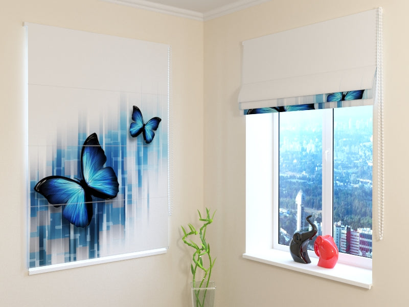 Tende a Pacchetto Farfalle Blu acquistare Tende a Pacchetto Farfalle Blu — Foto