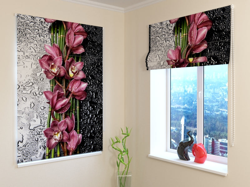 Tende a Pacchetto Goccia di Bellezza acquistare Tende a Pacchetto Goccia di Bellezza — Foto