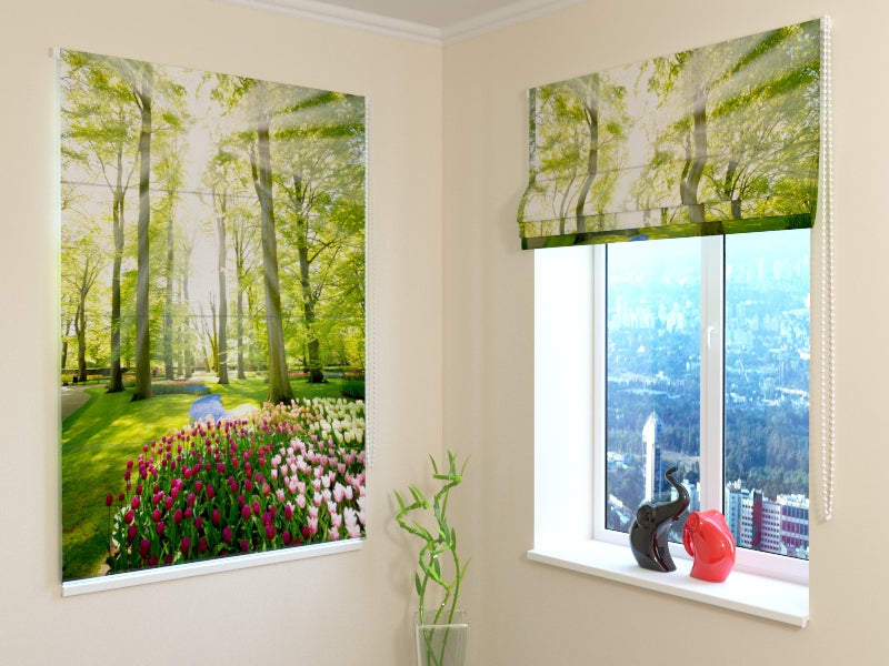 Tende a Pacchetto Parco Tulip acquistare Tende a Pacchetto Parco Tulip — Foto