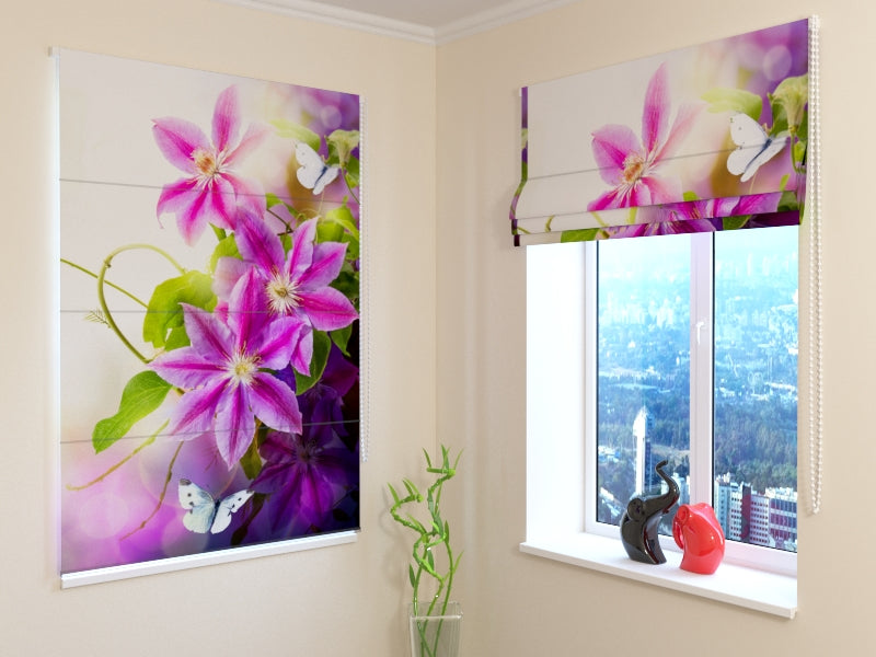 Tende a Pacchetto Perfezione acquistare Tende a Pacchetto Perfezione — Foto