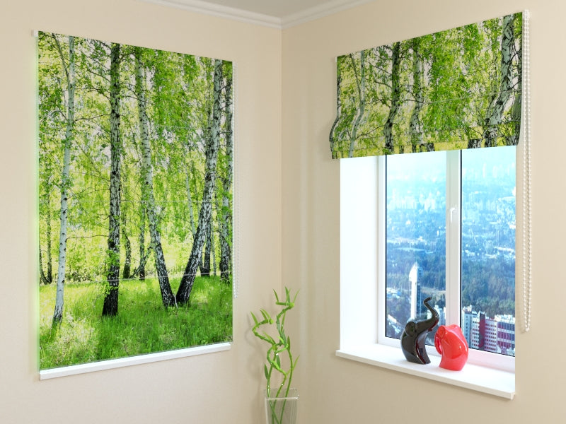 Tende a Pacchetto Foresta di Betulle d'Estate acquistare Tende a Pacchetto Foresta di Betulle d'Estate — Foto