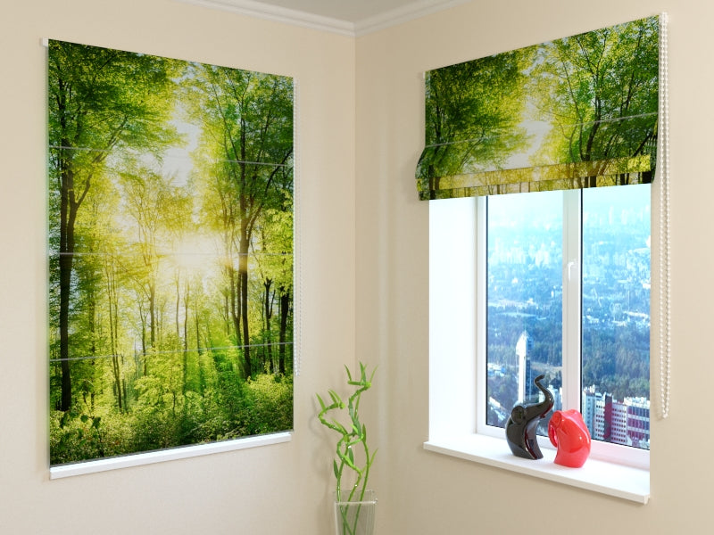 Tende a Pacchetto Raggi di Sole acquistare Tende a Pacchetto Raggi di Sole — Foto