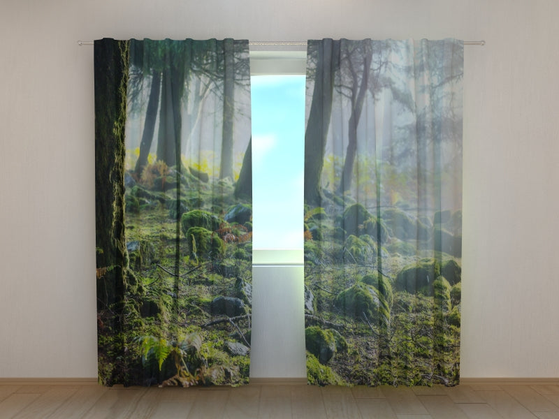 Foto Tende Foresta Pluviale all'Alba acquistare Foto Tende Foresta Pluviale all'Alba — Foto