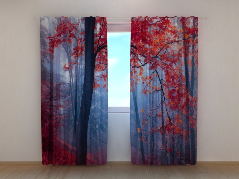 Foto Tende Foglie Rosse Nella Nebbia acquistare Foto Tende Foglie Rosse Nella Nebbia — Foto