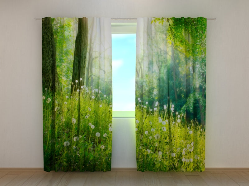 Foto Tende Denti di Leone Estivi acquistare Foto Tende Denti di Leone Estivi — Foto