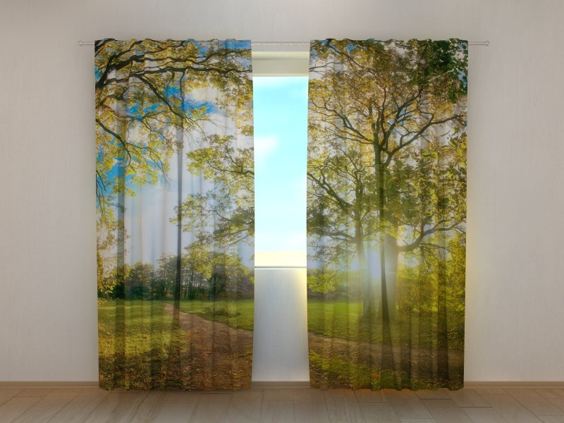 Foto Tende Sole nel Parco acquistare Foto Tende Sole nel Parco — Foto