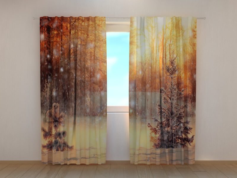 Foto Tende Serata di Natale Soleggiata Nella Foresta acquistare Foto Tende Serata di Natale Soleggiata Nella Foresta — Foto