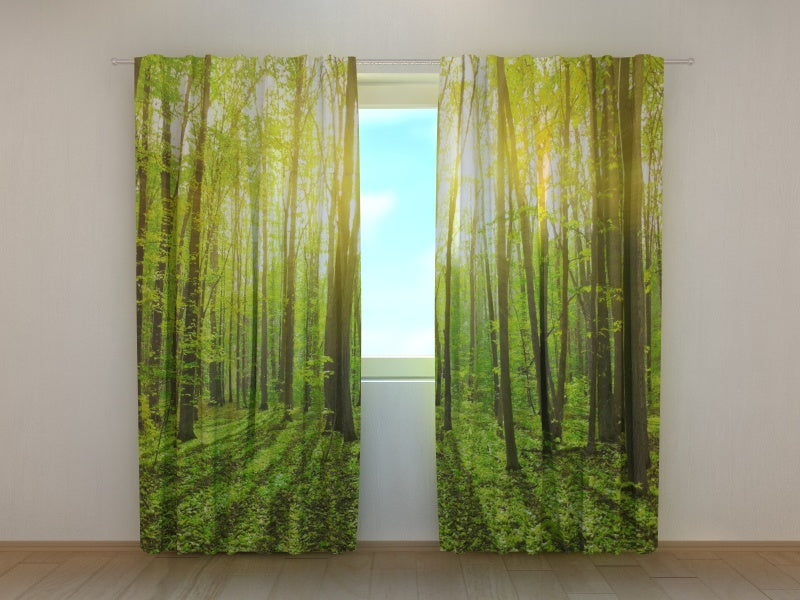 Foto Tende Raggi di Sole 2 acquistare Foto Tende Raggi di Sole 2 — Foto