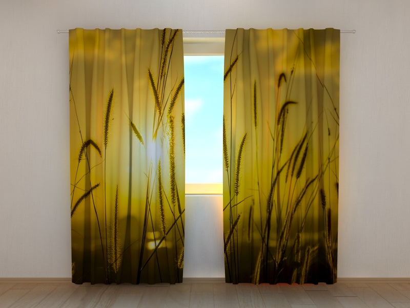 Foto Tende Tramonto sul Campo acquistare Foto Tende Tramonto sul Campo — Foto