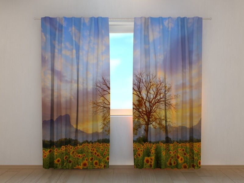 Foto Tende Tramonto sul Campo di Girasoli acquistare Foto Tende Tramonto sul Campo di Girasoli — Foto