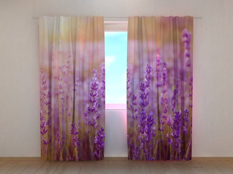 Foto Tende Tramonto su un Campo di Lavanda acquistare Foto Tende Tramonto su un Campo di Lavanda — Foto