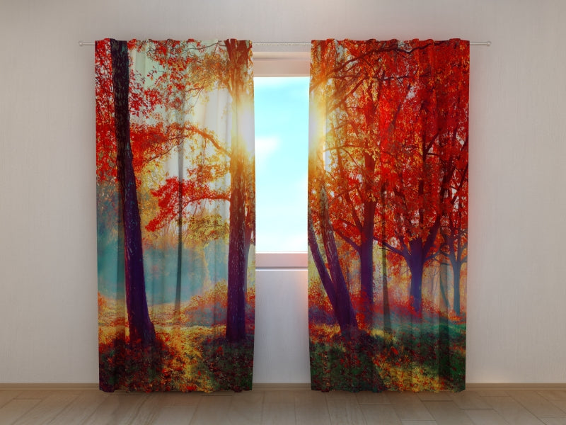Foto Tende Sole nella Foresta Autunnale Rossa acquistare Foto Tende Sole nella Foresta Autunnale Rossa — Foto