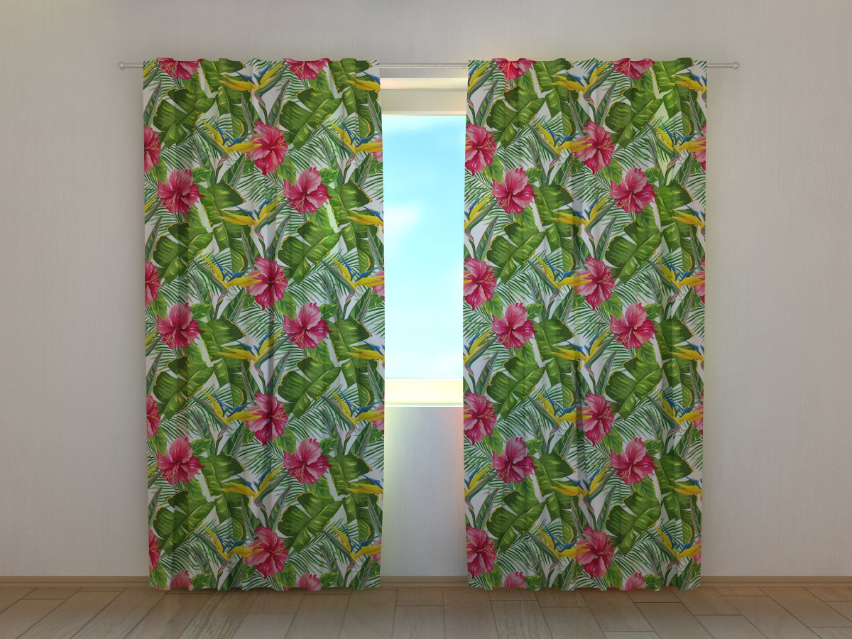 Foto Tende Foglie Tropicali e Strelitzia acquistare Foto Tende Foglie Tropicali e Strelitzia — Foto