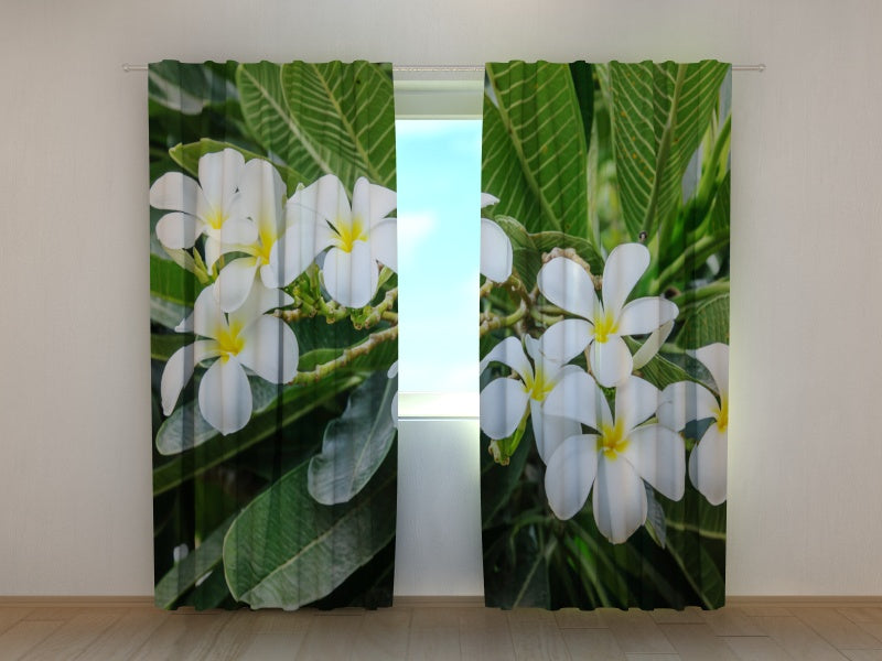 Foto Tende Arbusto Tropicale acquistare Foto Tende Arbusto Tropicale — Foto