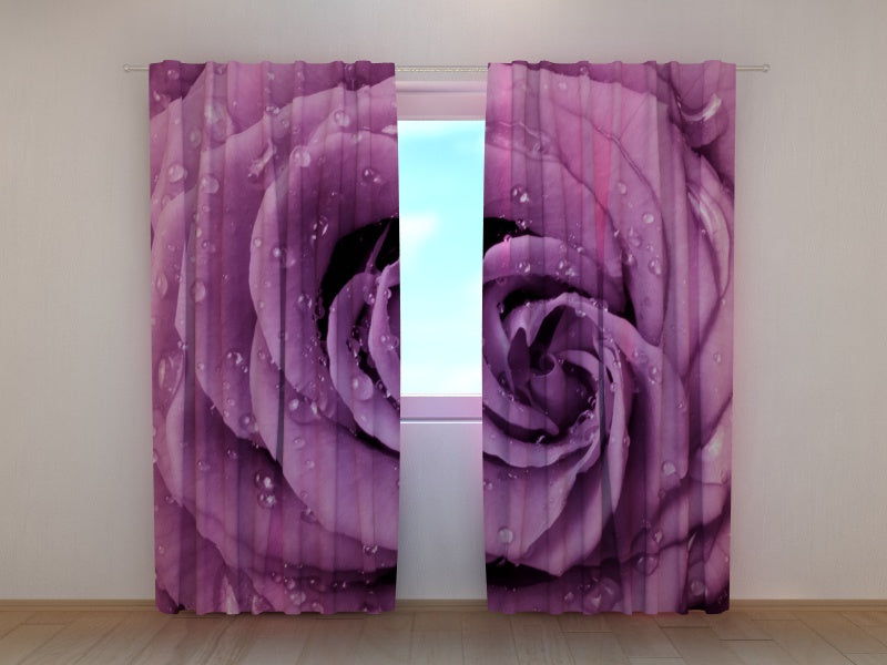 Foto Tende Rosa Eccentrica 2 acquistare Foto Tende Rosa Eccentrica 2 — Foto