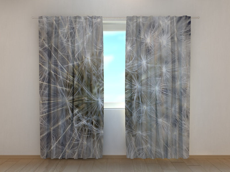 Foto Tende Soffice Dente di Leone Bianco acquistare Foto Tende Soffice Dente di Leone Bianco — Foto