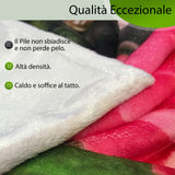 Coperta in Flanella Rose e Cuori — Foto