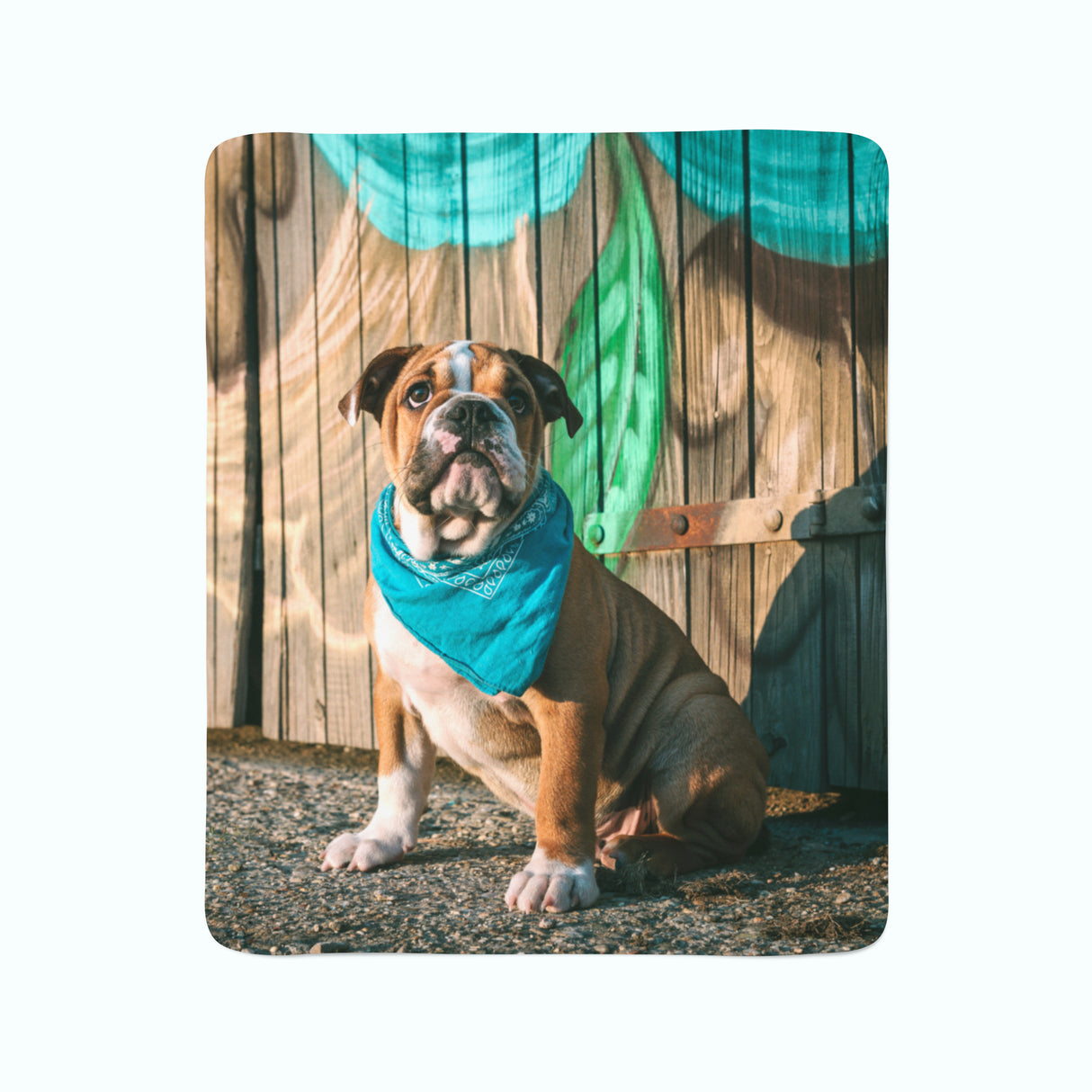 Coperta in Flanella Cucciolo di Bulldog Inglese Elegante — Foto