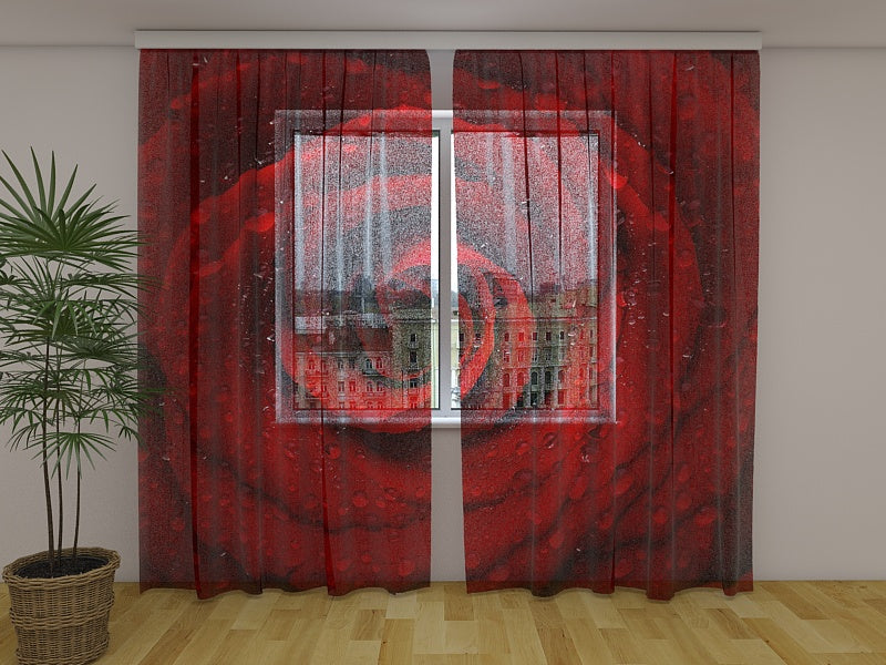 Foto Tende Rosa Rossa Fresca
