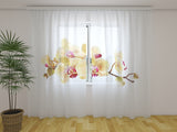 Foto Tende Orchidea Dorata su Bianco — Foto