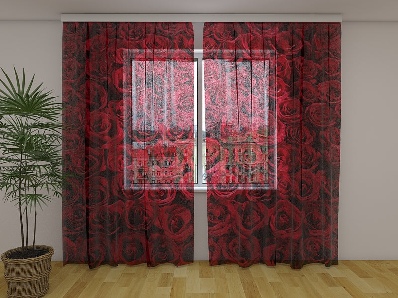 Foto Tende Rose Rosse Preferite