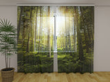 Foto Tende Foresta Soleggiata — Foto