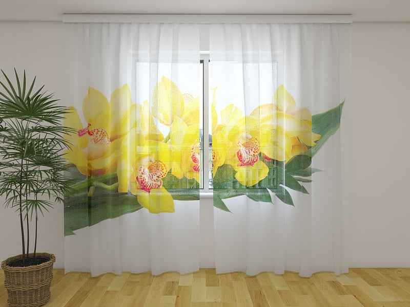 Foto Tende Orchidee Gialle