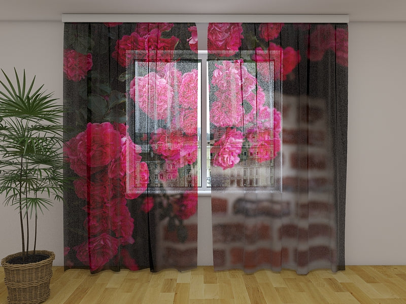 Foto Tende Cespuglio di Rose Rosa sul Muro di Mattoni