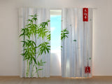 Foto Tende Acquerello di Bambù Verde Giapponese — Foto