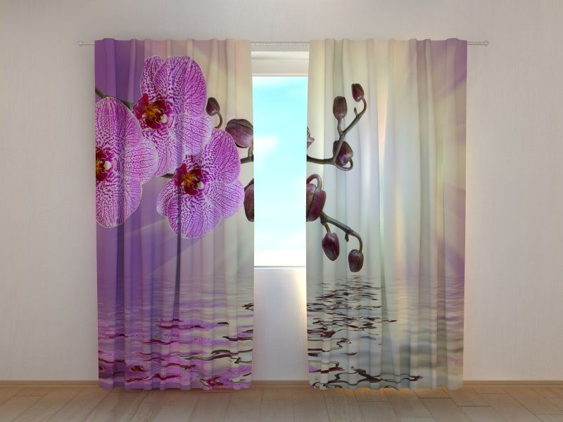 Foto Tende Orchidea Lilla — Foto