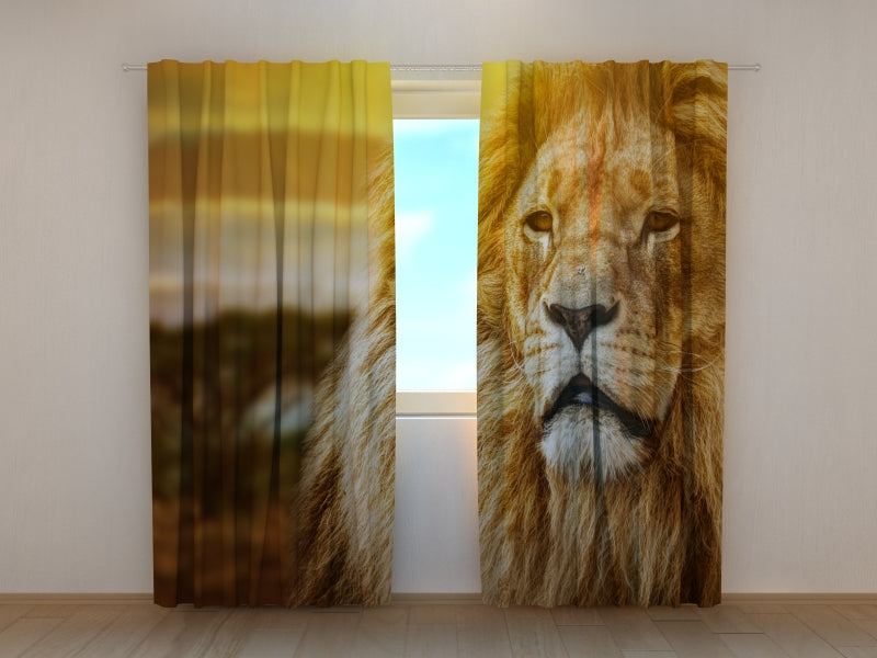 Foto Tende Leone nella Savana — Foto