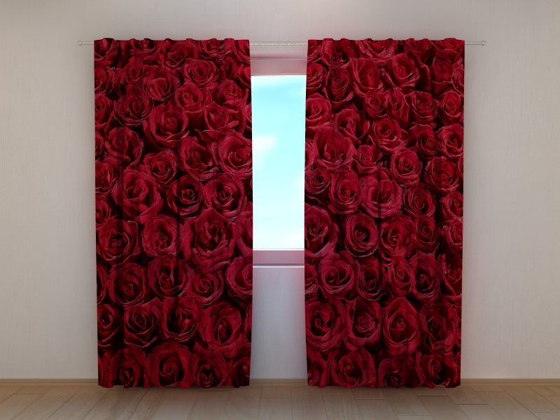 Foto Tende Rose Rosse Preferite — Foto