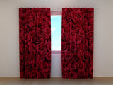 Foto Tende Rose Rosse Preferite — Foto